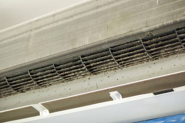 Best Ductwork Cleaning Services  in Surfside Beach, SC